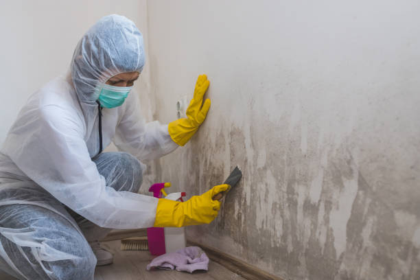 Crawl Space Mold Removal in Arial, SC