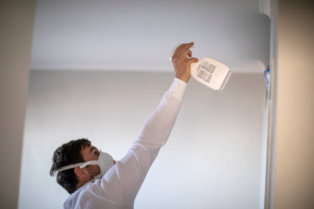 Best Toxic Mold Removal  in Arial, SC