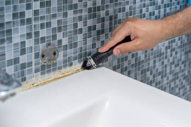 Best Office Mold Removal Services  in Arial, SC